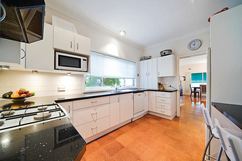 Natural Selection Picture 3