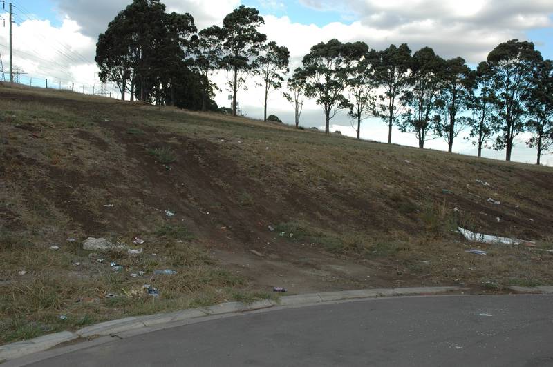 COACHMANS HILL ESTATE Picture 3