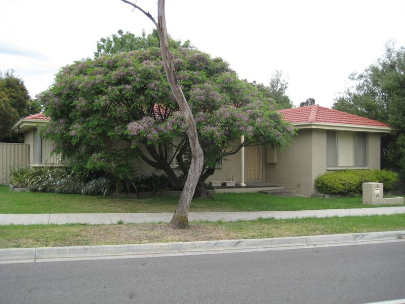 * Let awaiting confirmation* Picture 2