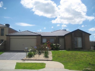 * Let Awaiting Confirmation * Picture