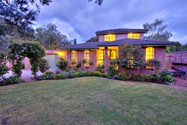 * Delightful Summer Entertainer!! * Picture * Delightful Summer Entertainer!! * Picture