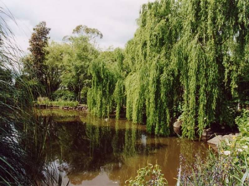 * Former B&B now the Home of your Dreams * Picture 2