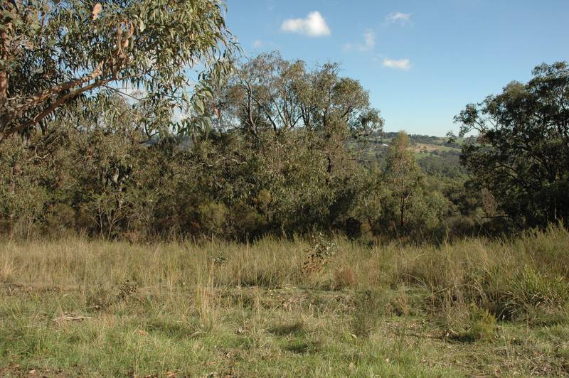 15.5 Acres (approx) of Untapped Potential... Picture 2