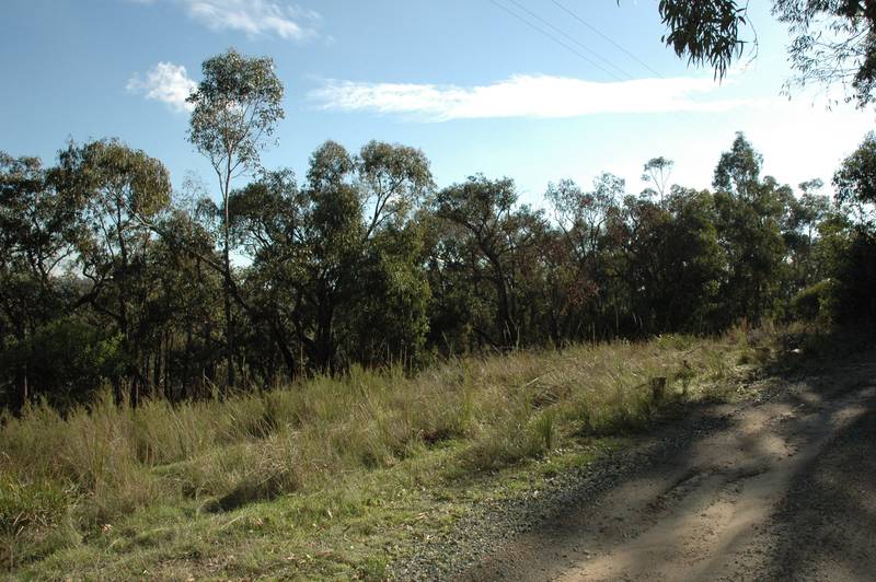 15.5 Acres (approx) of Untapped Potential... Picture 3