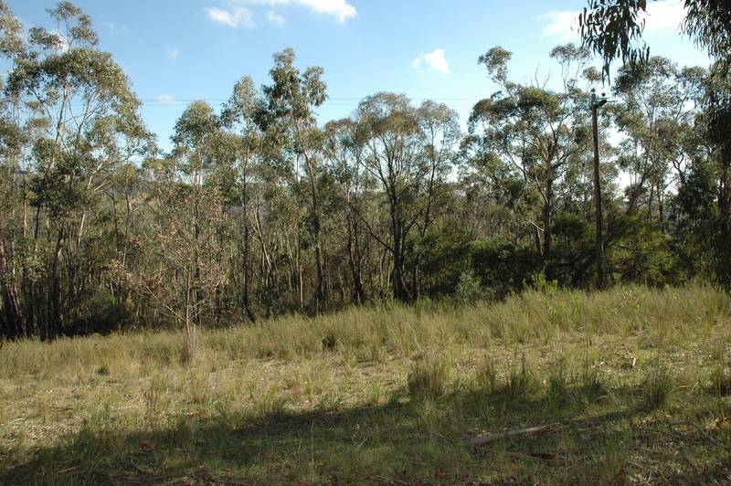 15.5 Acres (approx) of Untapped Potential... Picture 1