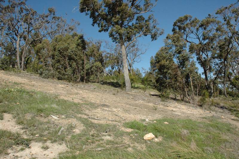 Elevated 1627m2 Block with Views Picture 2