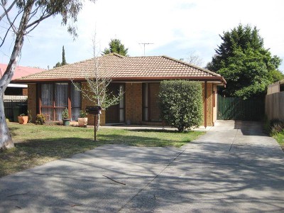 * Timbarra Gem * Picture