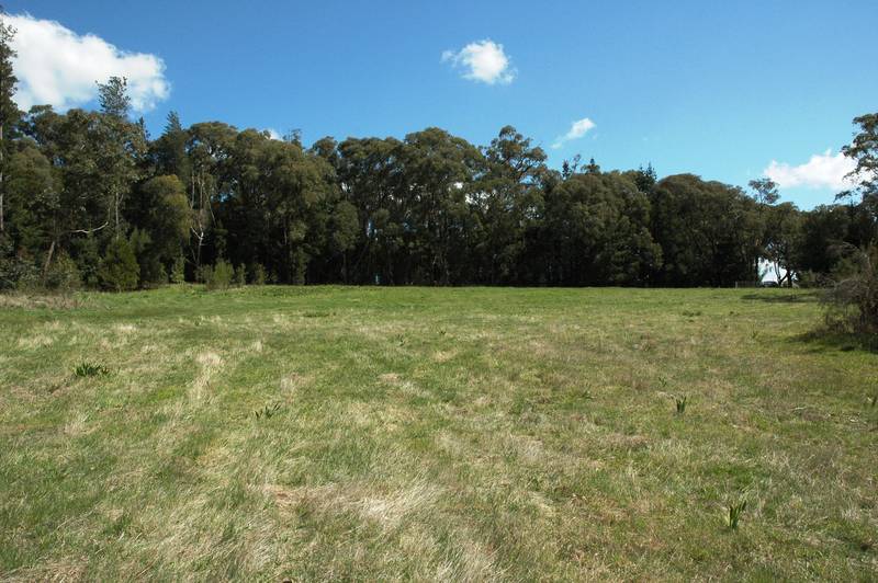 Approx 4.8 Acres of Town Centre Serenity 