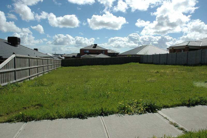 Going, Going, Gone! Picture 2