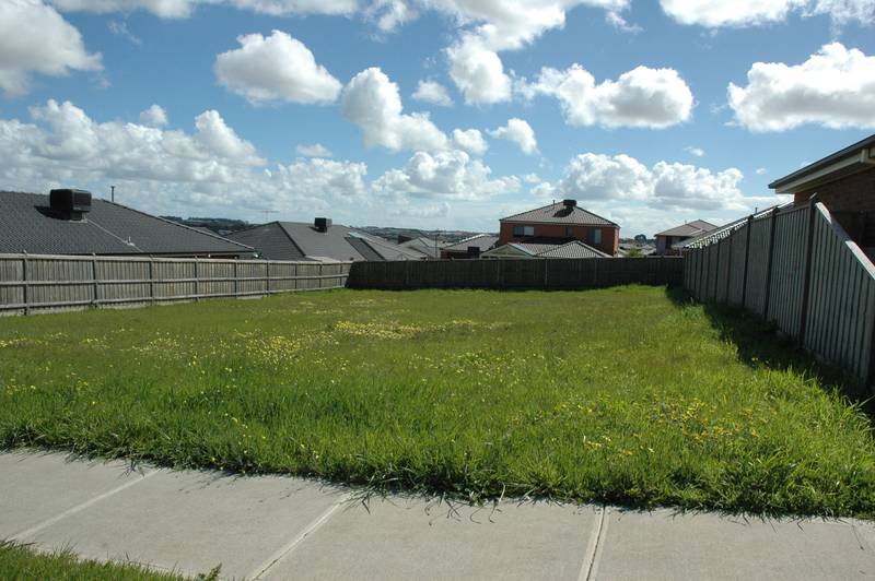 Going, Going, Gone! Picture 3