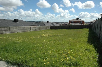 Going, Going, Gone! Picture