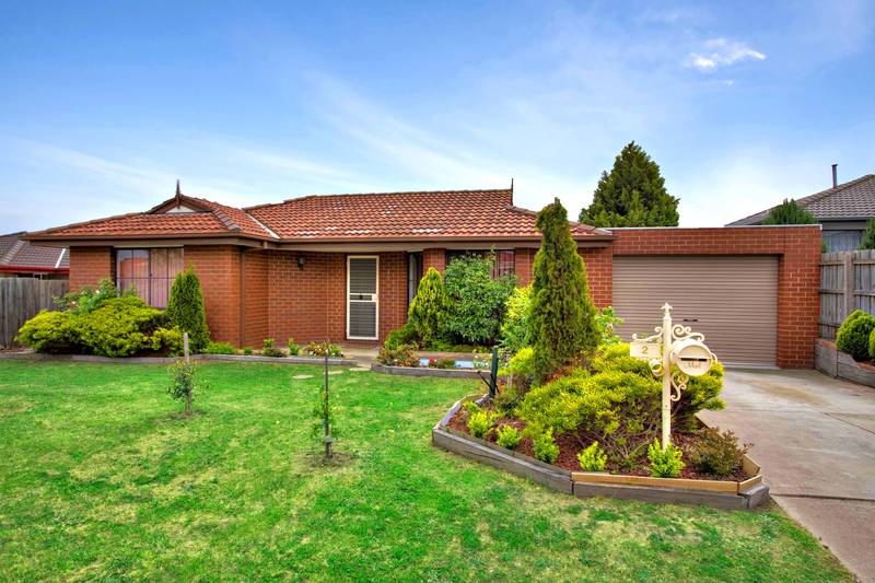 Not a Cent to Spend! Picture 1