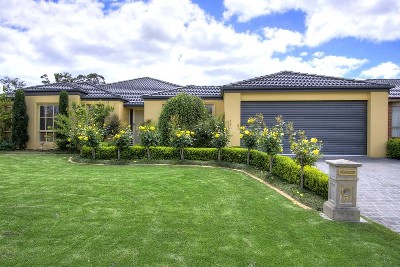 Bright, Light & Quiet Picture Bright, Light & Quiet Picture