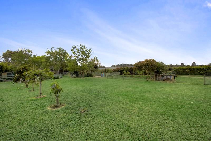 Outstanding Lifestyle - Room for Trucks - 1.1 Acres Picture 2