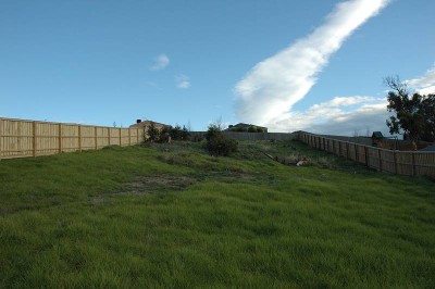 Big, Bold & Beautiful Beaconsfield Picture Big, Bold & Beautiful Beaconsfield Picture