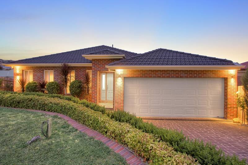 Immpecable Family Lifestyle Picture 1