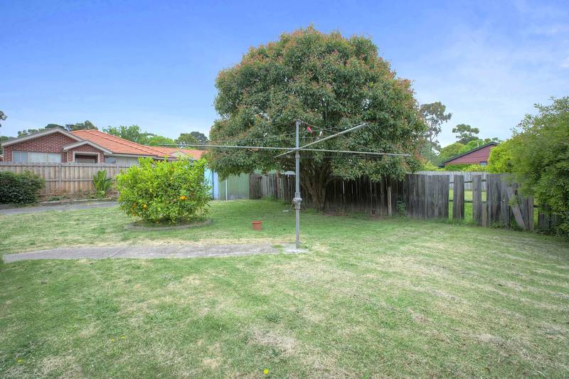 Olde Berwick 1/4 Acre Picture 3