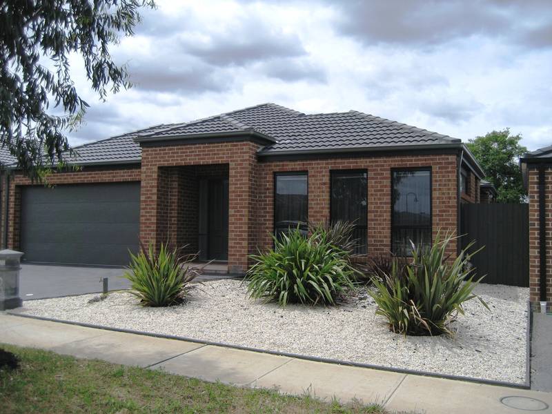 You Won't Find Better! Picture 1