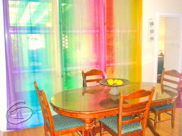 Old Racecourse Beauty Picture 3