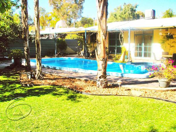 Old Racecourse Beauty Picture 1