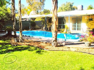 Old Racecourse Beauty Picture