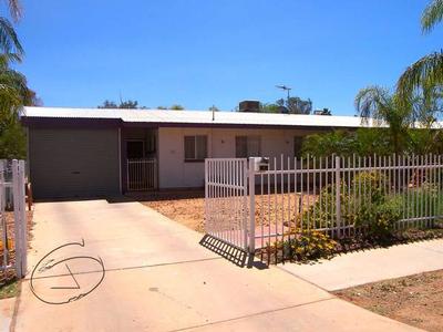 Great Summer Lifestyle Picture Great Summer Lifestyle Picture