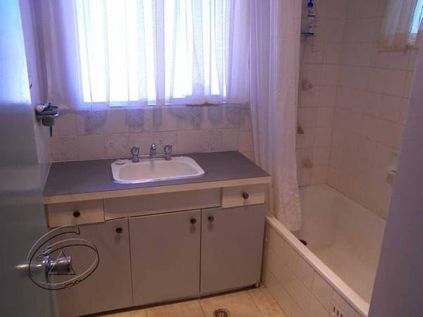 Great Summer Lifestyle Picture 3