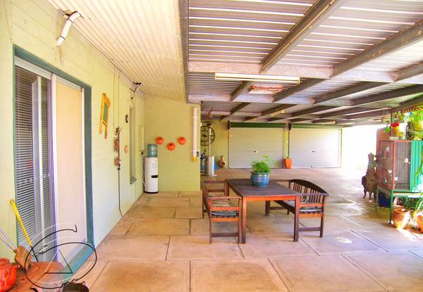 Fun Just Found a New Home Picture