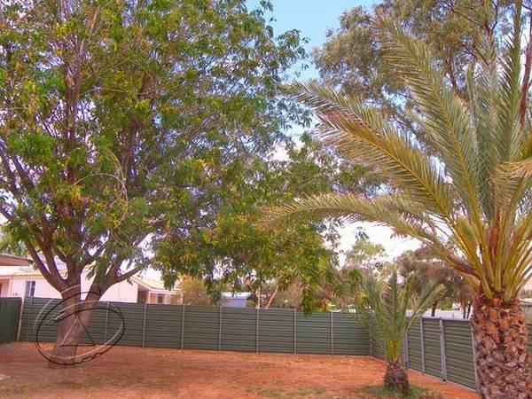 Fresh as a Daisy Picture