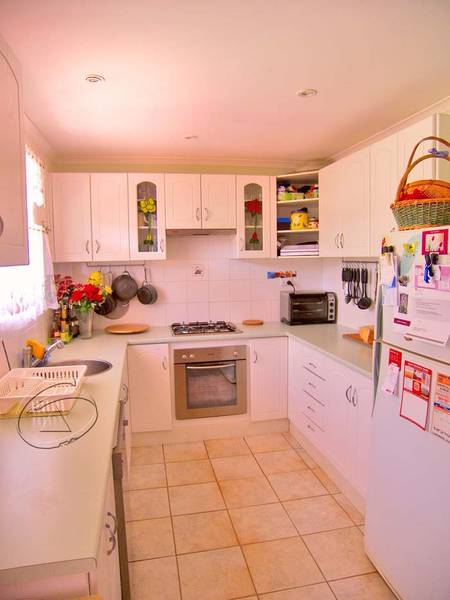 Presentation PLUS! Picture