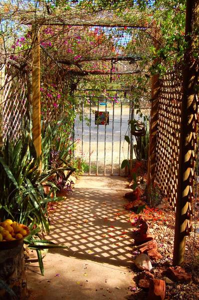 For Those Who Won't Abide the Ordinary Picture