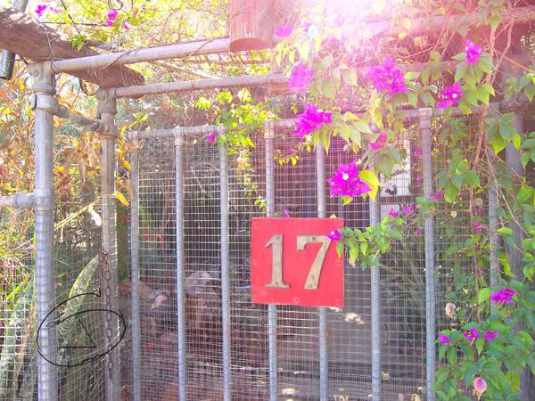 For Those Who Won't Abide the Ordinary Picture