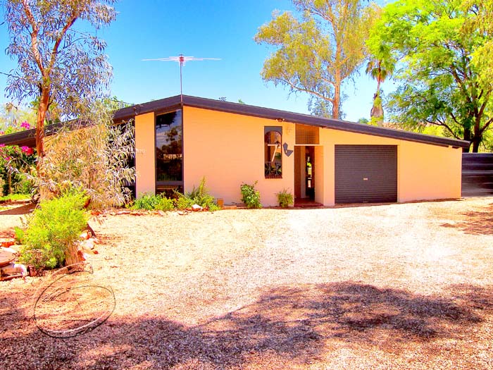 A Homely Oasis Picture 2