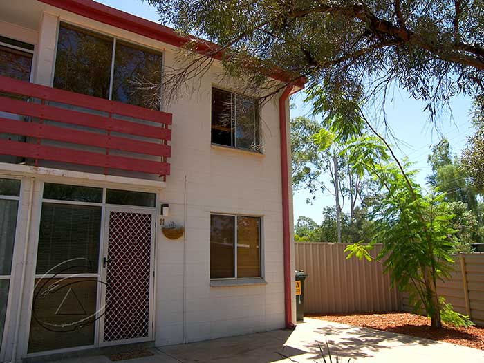 AN ABSOLUTE DELIGHT Picture 1