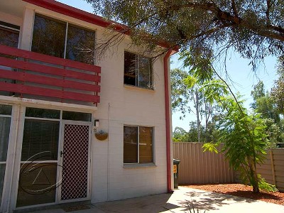 AN ABSOLUTE DELIGHT Picture