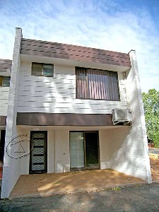 FLOURISHES OF STYLE Picture