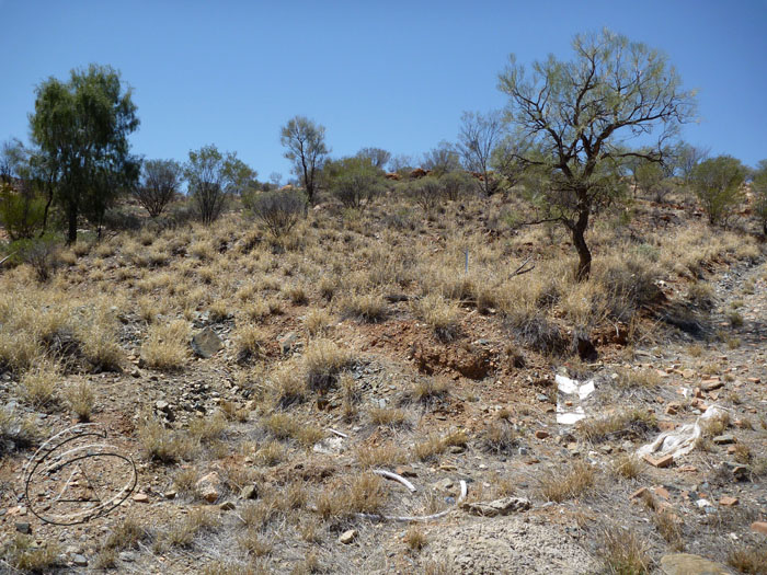 AN OPPORTUNITY Picture 2