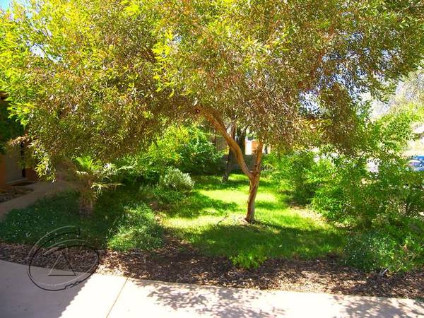 Great Expectations Picture 2