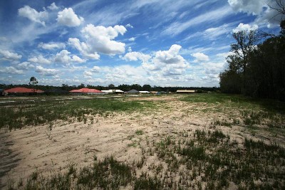 SANTA'S PICK OF THE BUNCH IN VACANT BLOCKS. Picture