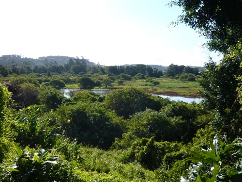 1ST HOME-INVESTMENT Picture 2