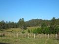 2600 ACRES GRAZING/TIMBER Picture