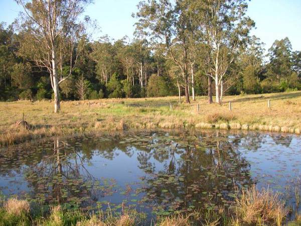 2600 ACRES GRAZING/TIMBER Picture 3