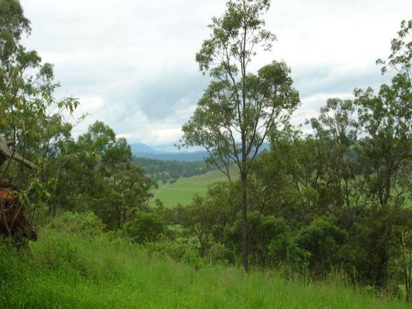 BUSH RETREAT Picture