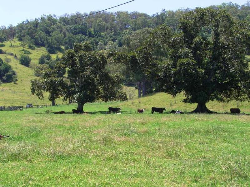 CHARACTER, COMFORT, CONVENIENCE Picture 1