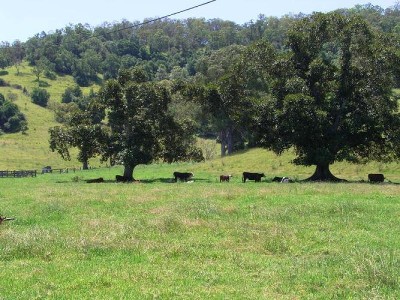 CHARACTER, COMFORT, CONVENIENCE Picture