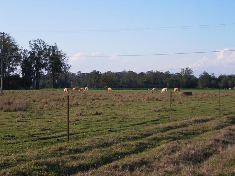 COUNTRY STYLE Picture 2