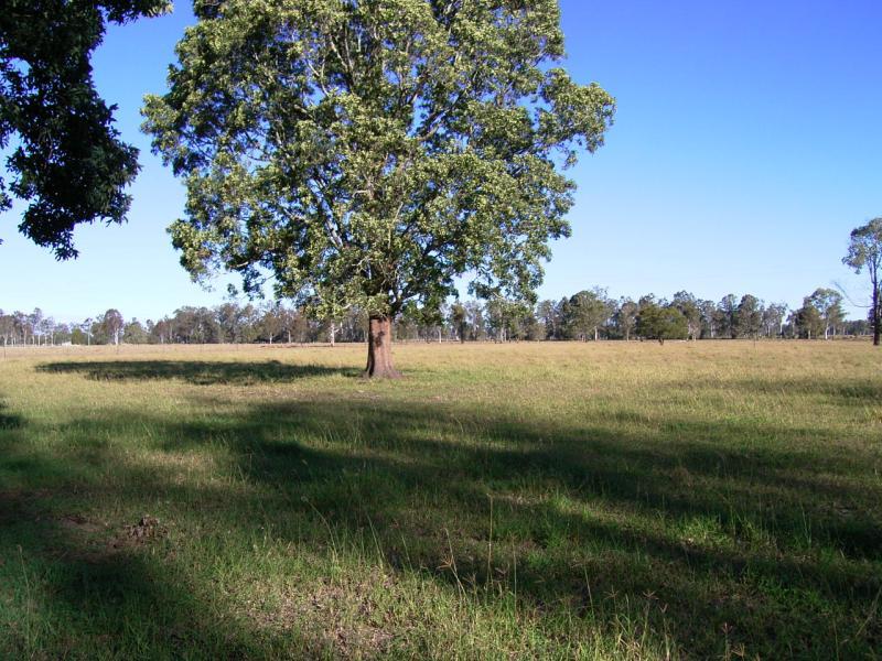 COUNTRY STYLE Picture 1