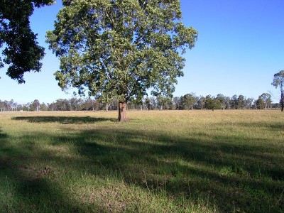 COUNTRY STYLE Picture