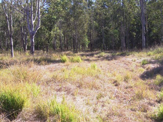 HERE IT IS!! Picture 2