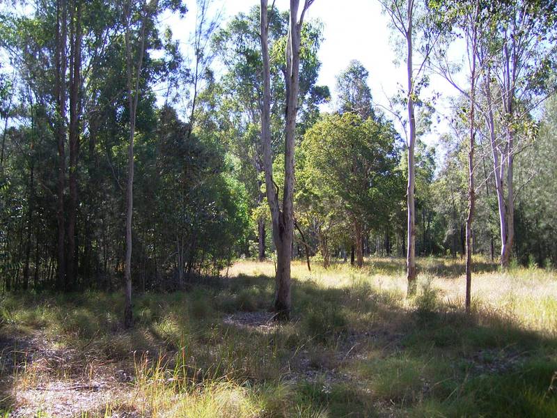 HERE IT IS!! Picture 3